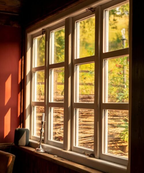 pexels-bianca-jelezniac-9336182 pexels-bianca-jelezniac-9336182