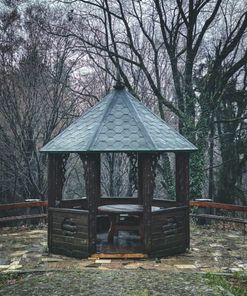 pexels-oleh-haliiash-15154538